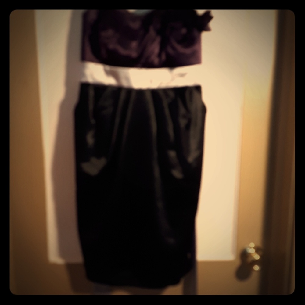 IZ Byer new with tags lady size 14 plum dress